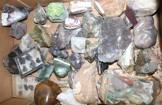 Collection of minerals, coral etc
